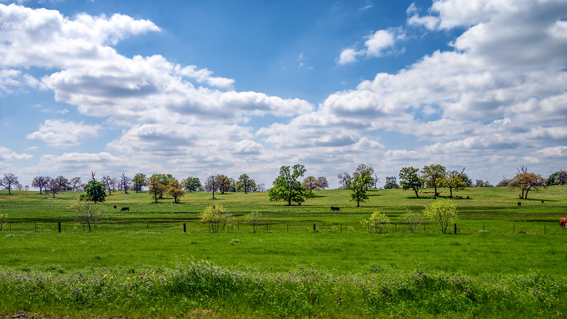 "central texas landscape" by Sky Noir is licensed under CC BY-NC 2.0.