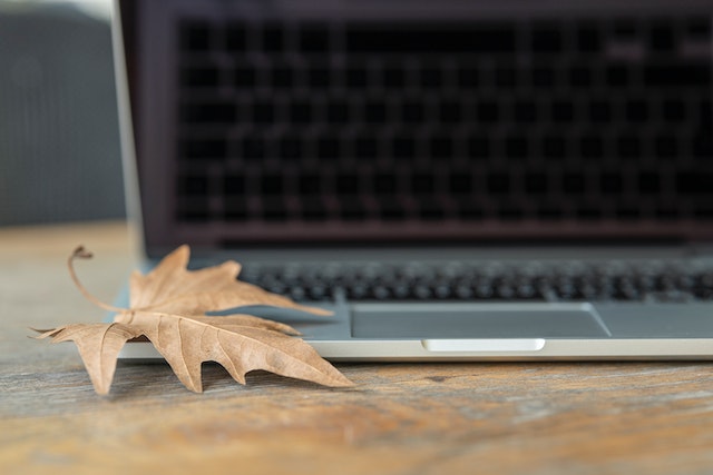 brown maple leaf on a laptop by Engin Akyurt from Pexels Permission to use granted by Pexels’ license
