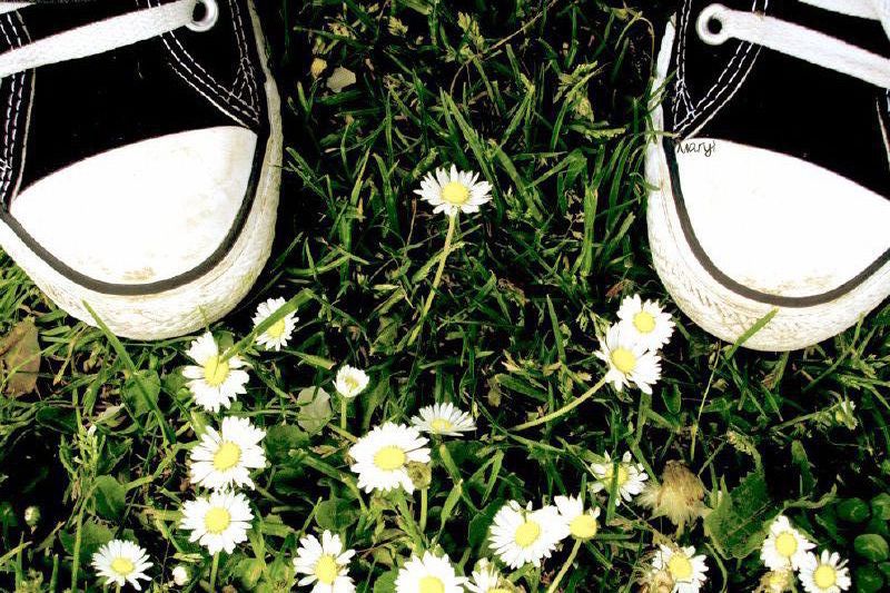 View looking down at tips of black tennis shoes with white tips standing in grass and flowers